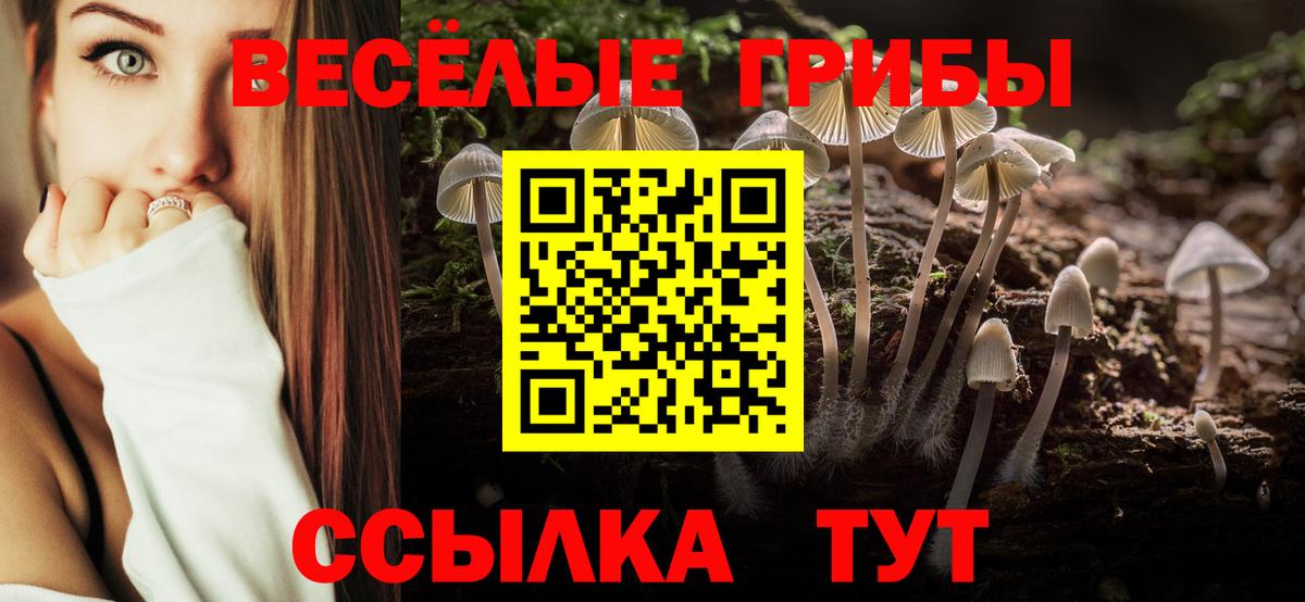 Новоуральск  Псилоцибиновые грибы GOLDEN TEACHER  Псилоцибиновые грибы мицелий  где купить наркотик  Вход с VPN 