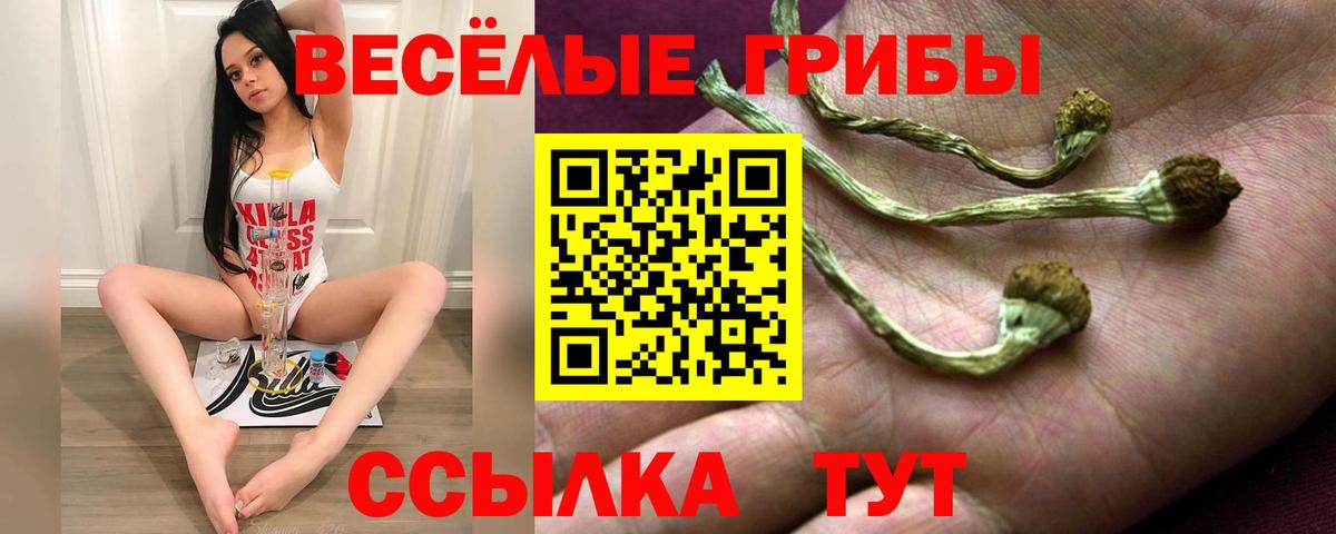 Псилоцибиновые грибы MAGIC MUSHROOMS Новоуральск